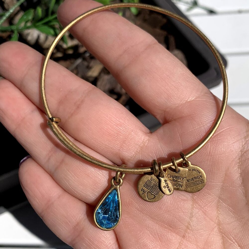 FIRM PRICE 6pc Bangle Assorted Bracelets - Picture 10 of 16